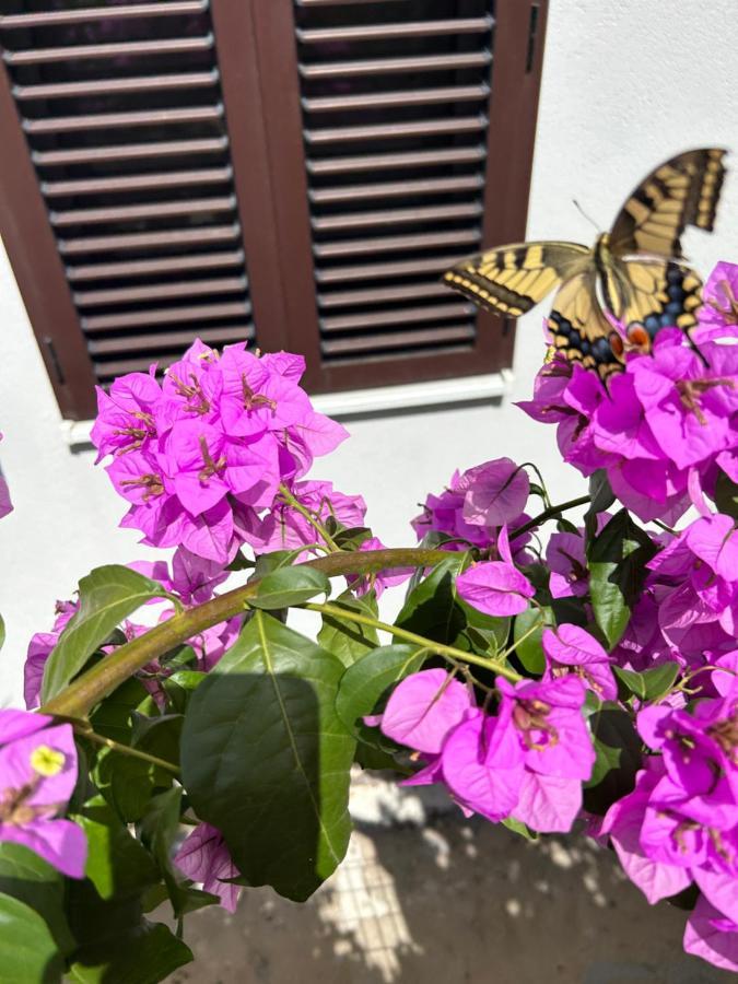 Garden Apartment Dina With Free Parking Split Kültér fotó